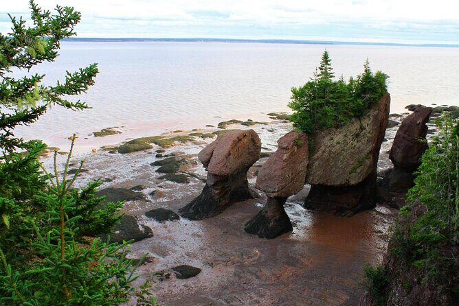 Half-Day Small-Group Tour of Annapolis Valley - Key Things You’ll Love About This Annapolis Valley Tour