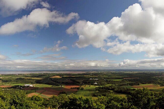 Half-Day Small-Group Tour of Annapolis Valley - Fox Hill Cheese House: specialty dairy in the middle of wine country