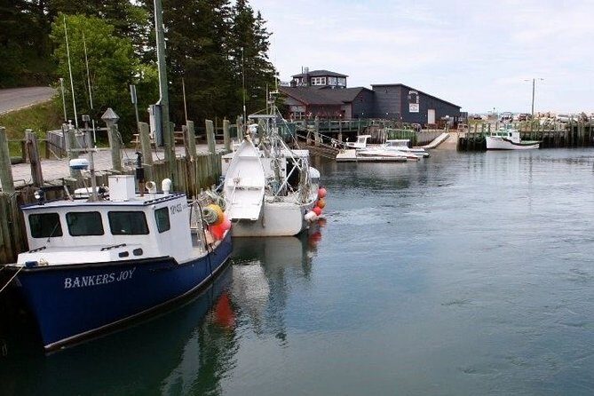 Half-Day Small-Group Tour of Annapolis Valley - Planters Ridge and 1365 Church Street: two wineries, two different vibes