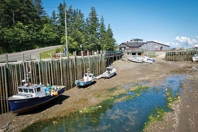 Half-Day Small-Group Tour of Annapolis Valley - The Van Ride Experience: why the guide makes the day