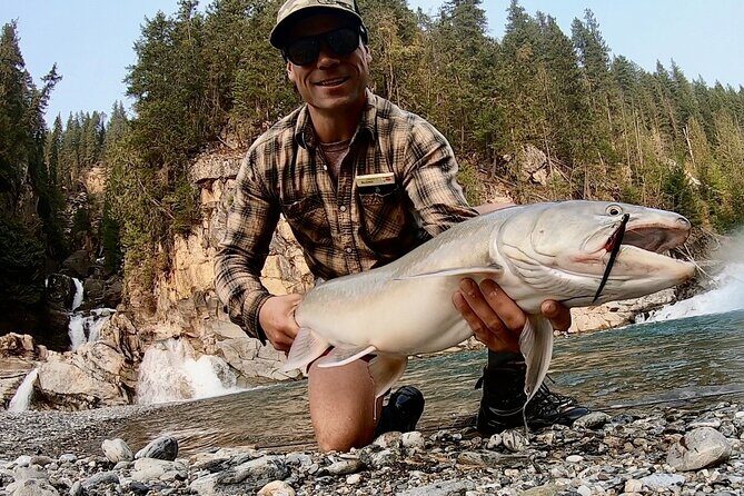Half Day Walk&Wade (Fly-Fishing / Spin Casting from shore) - Key highlights to look for