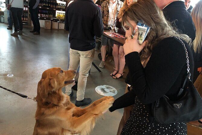 Half-Day West Kelowna Afternoon Wine tour - Bus Comfort, Small Group Energy, and Why That Matters