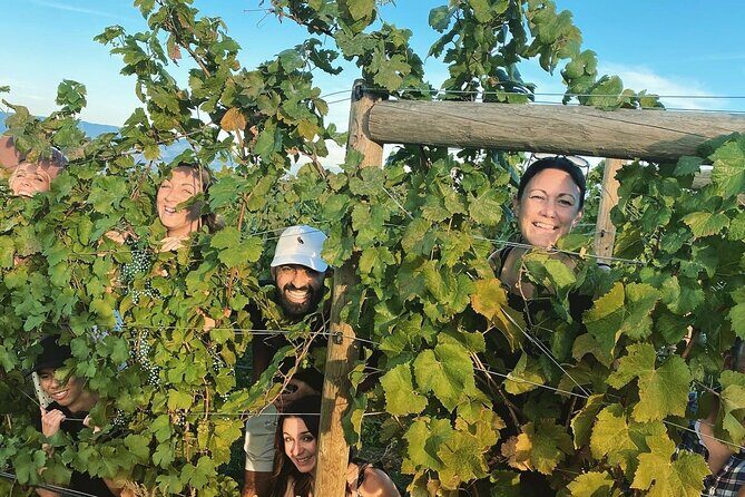 Half-Day West Kelowna Afternoon Wine tour - The 1:00 pm Pickup Plan (And How It Stays Low-Stress)