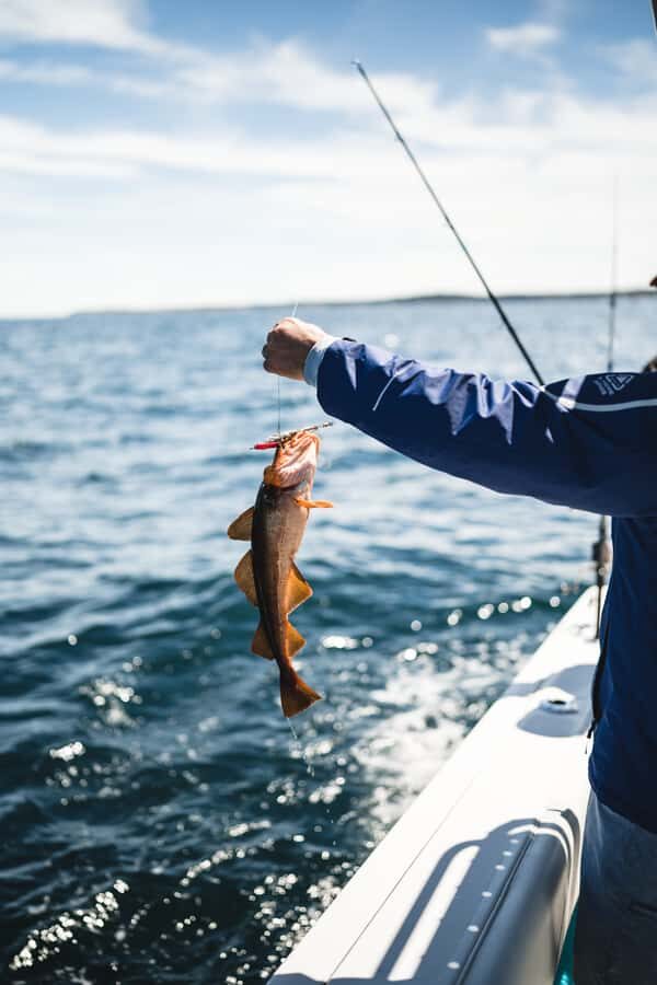 Halifax: 2-Hour Deep Sea Fishing Tour - Carter and the crew: why guidance can make or break the trip