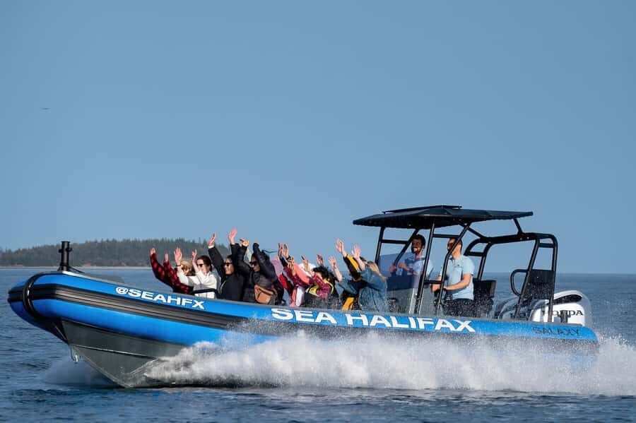 Halifax: 50-Minute Boat Tour of the Harbour - Price and What $42 Buys You in Real Time