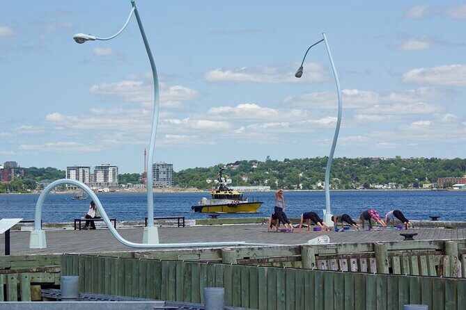 Halifax Boardwalk & Seaport: a Smartphone Audio Walking Tour - Art you can spot fast: crooked lights, hammocks, and the big wave with padding