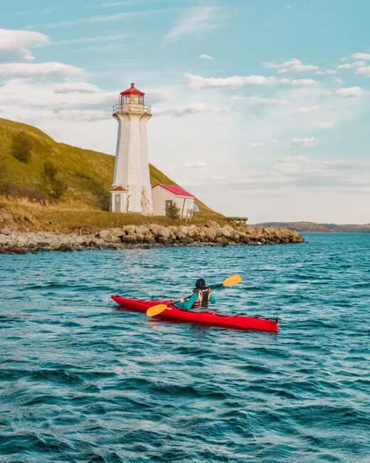 Halifax: Guided Kayak Tour with Multiple Options - Halifax Harbour from a kayak: what the experience actually feels like