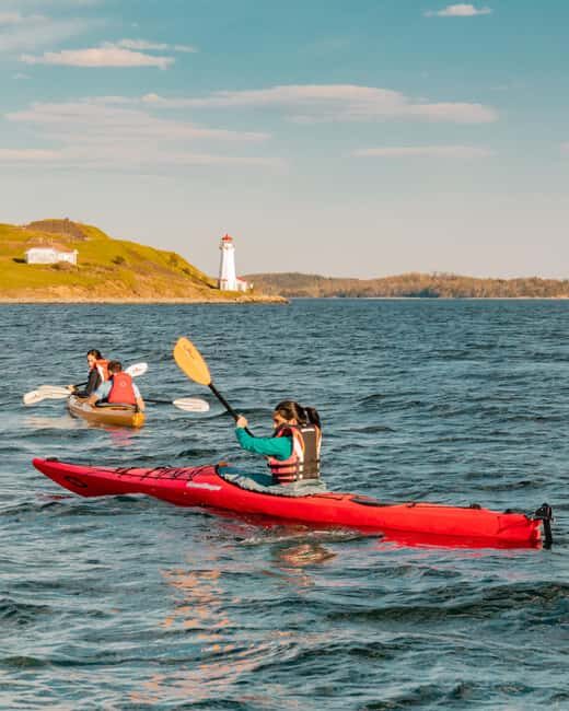 Halifax: Guided Kayak Tour with Multiple Options - What’s included vs. what you bring (so you don’t overthink it)