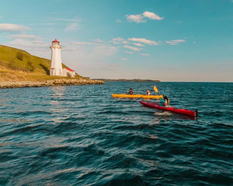Halifax: Guided Kayak Tour with Multiple Options - Pick your time slot: sunrise, lunch, classic, or sunset options