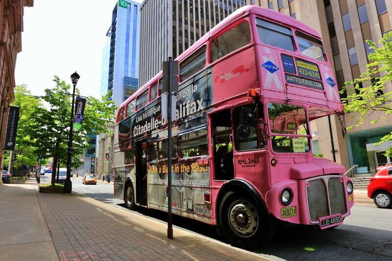 Halifax: Hop-on Hop-Off Double Decker Bus City Tour - Buses, timing, and the live map so you don’t feel stuck