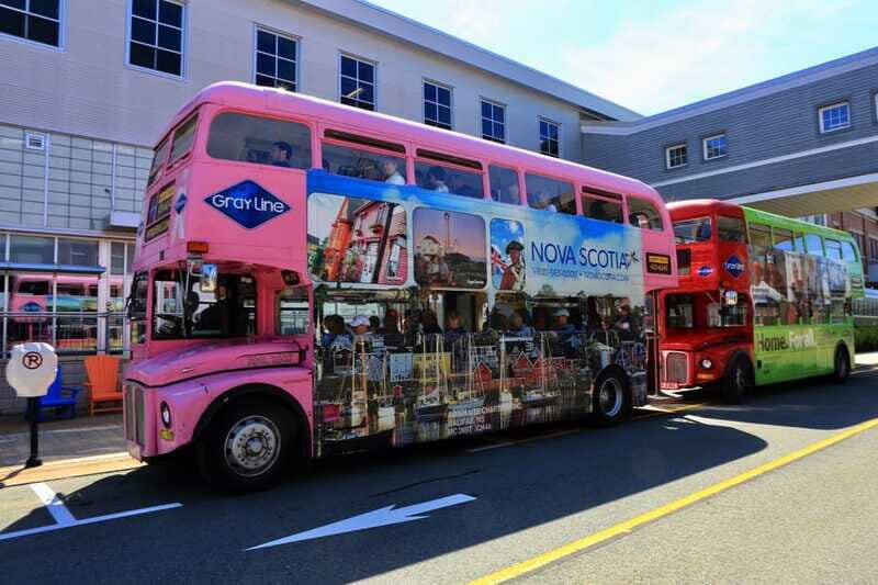 Halifax: Hop-on Hop-Off Double Decker Bus City Tour - St. Mary’s Basilica and the Shop & Dine zone: mix architecture with real street time