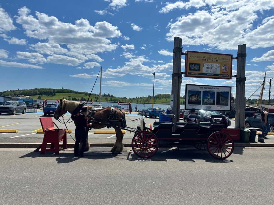 Halifax: Lunenburg and Mahone Bay Private Tour - Timing, comfort, and flexible photo stops in a 4-hour window