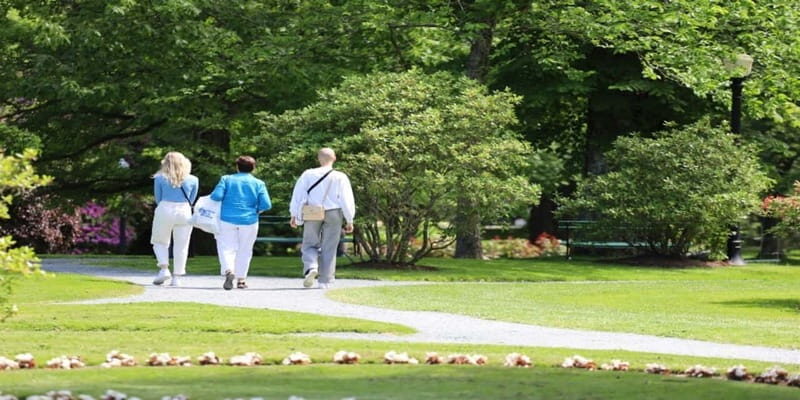 Halifax: Small Group Walking Tour with Citadel & Museum - Meeting point and timing: start where the gardens feel like a secret