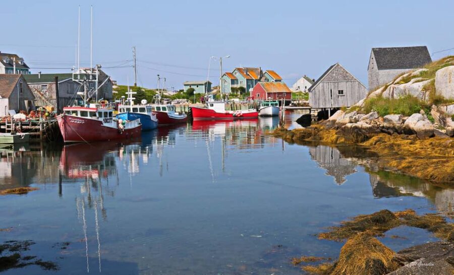 Halifax: South Coast Nova Scotia Private Day Tour - Quick hits you’ll feel in your day