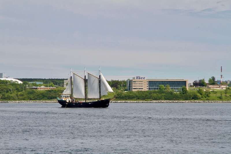 Halifax: Tall Ship Harbor Sailing Cruise with Live Music - Who should book this Halifax tall ship cruise (and who should skip it)