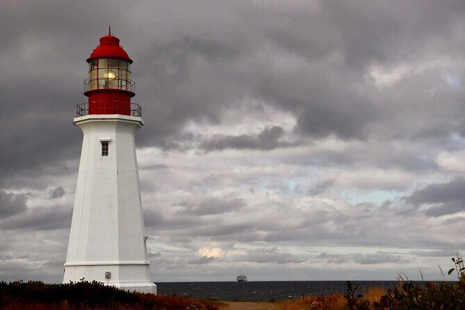 Harbor Highlights: Sydney City Tour - Key Highlights You’ll Actually Feel in 90 Minutes