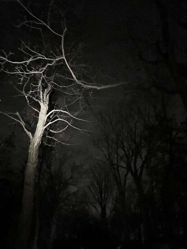 Haunted Mountain Ghost Walking Tour - Key Things You Should Know Before You Go