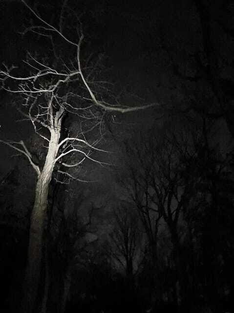 Haunted Mountain Ghost Walking Tour - Price and Value: Is $24 for a 90-Minute Theatrical Hike Worth It?