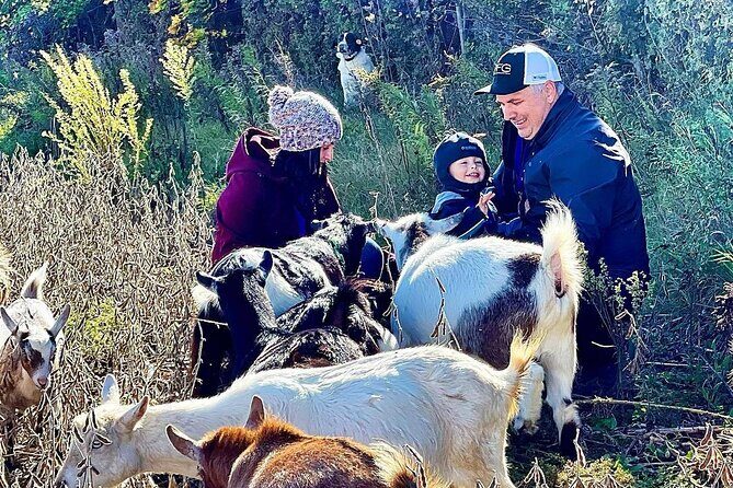 Haute Goat Shmurgle in Ontario - Key highlights to plan around