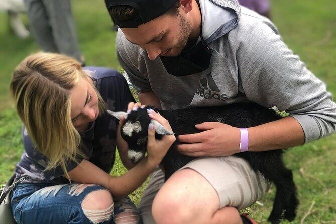 Haute Goat Shmurgle in Ontario - What happens during the Shmurgle: your goat walk and playtime