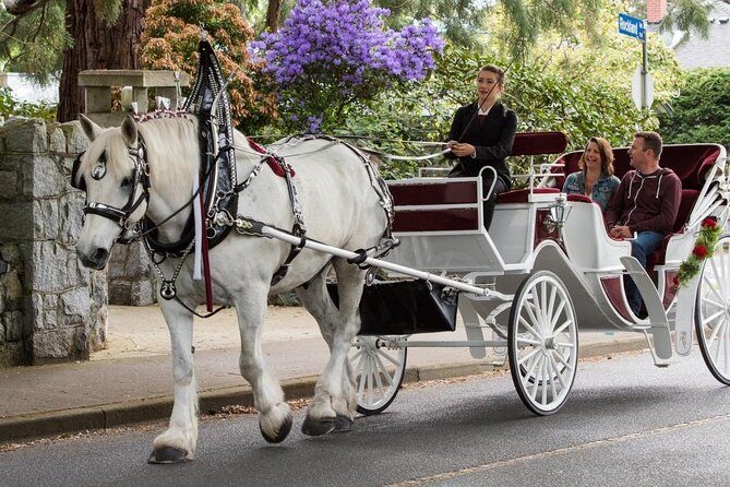 Heritage Horse-Drawn Carriage Experience in Victoria - Price and value: what $123.92 per group really means