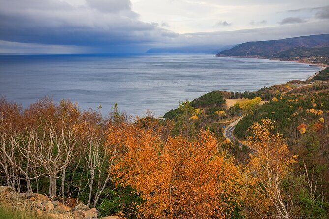 Highland Tours: Cabot Trail Excursion - Dock Pickup and Timing: the Part that Can Make or Break Your Day