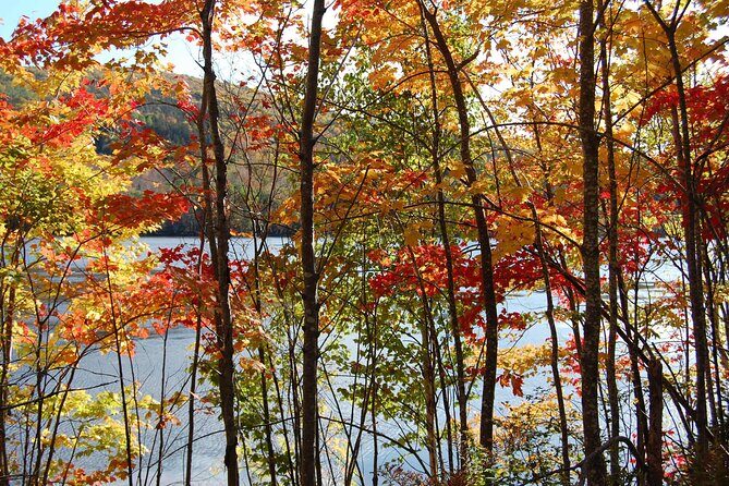 Highland Tours: Cabot Trail Excursion - Small group size: why max 6 people can feel better