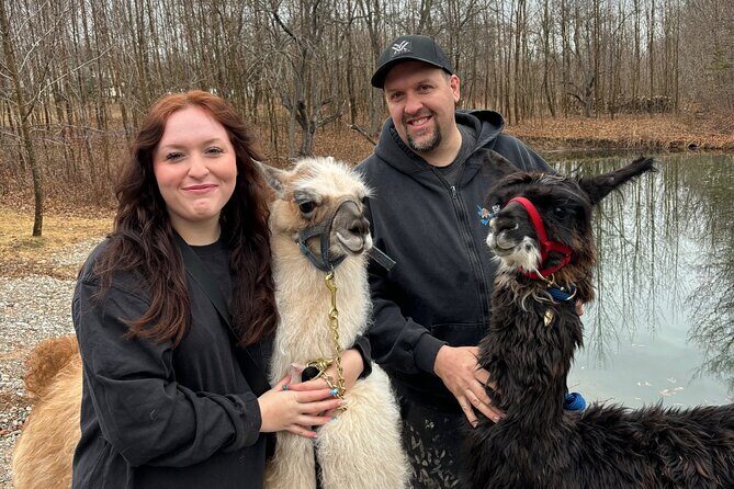 Hike & Lunch with Llamas - Key Highlights You’ll Care About