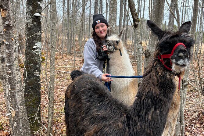 Hike & Lunch with Llamas - From Your Drive to the Barnyard: What Happens at Dancing Goat Therapy Farm