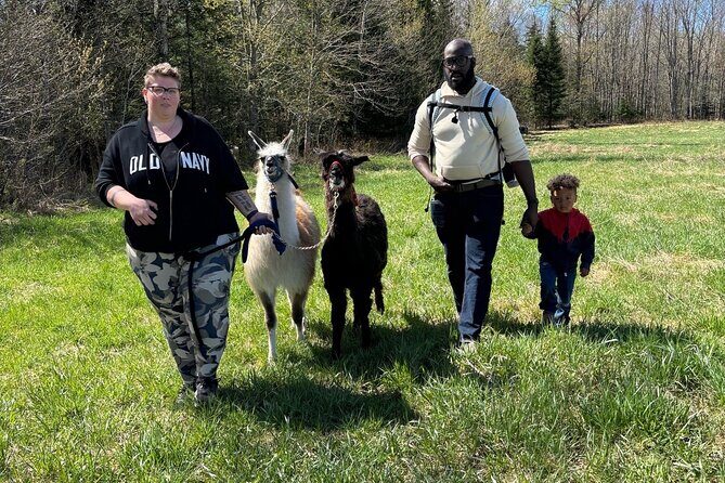Hike & Lunch with Llamas - Quick Logistics That Matter (Without Making Your Head Spin)