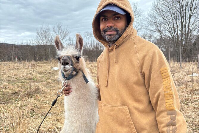 Hike & Lunch with Llamas - The Llamas’ Outdoor Lunch: Wood-Fired Pizza in a Real Farm Setting
