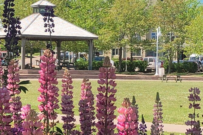 Historic Walking Tour of Charlottetown - Quick Hits: What Makes This Walk Worth Your Time