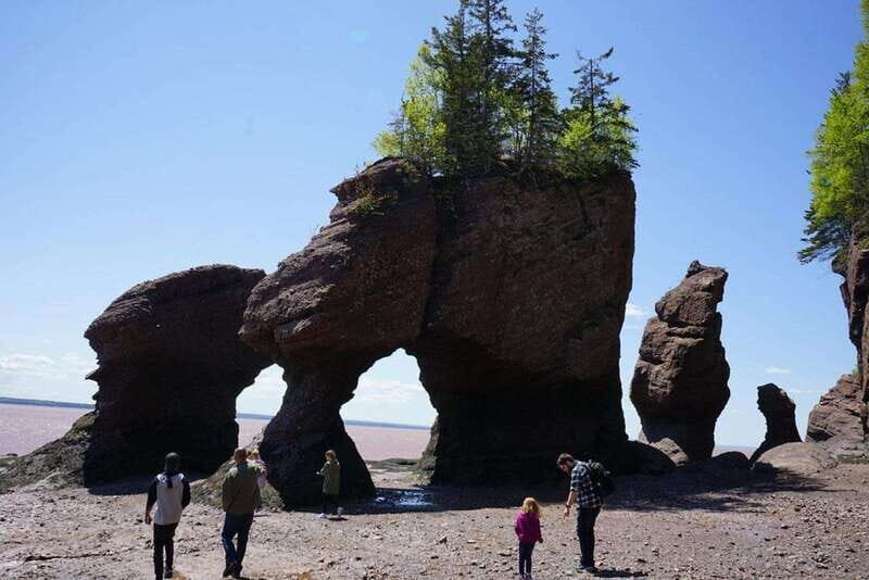 Hopewell Cape: Hopewell Rocks Admission - Key things you will notice at Hopewell Rocks