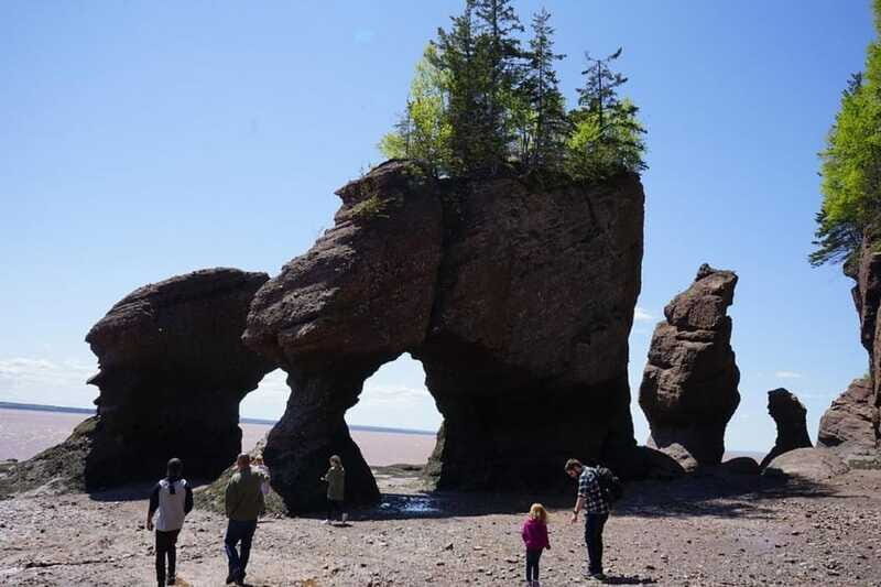 Hopewell Cape: Hopewell Rocks Admission - Ocean floor access at low tide: stairs, ramp, and the Demoiselle trail