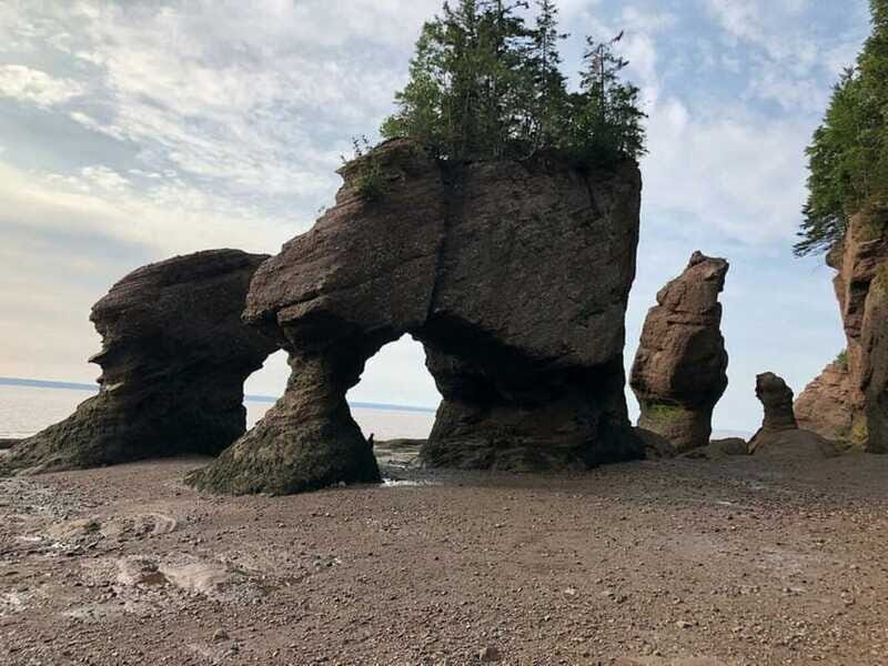 Hopewell Cape: Hopewell Rocks Admission - Timing and tides: check the schedule before you plan your walk