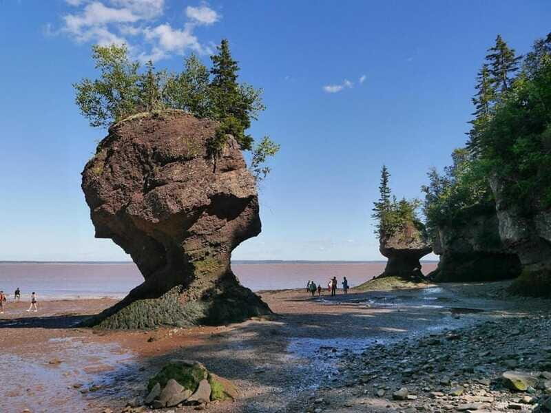 Hopewell Cape: Hopewell Rocks Admission - Trails, lookouts, and forest walks between tide windows