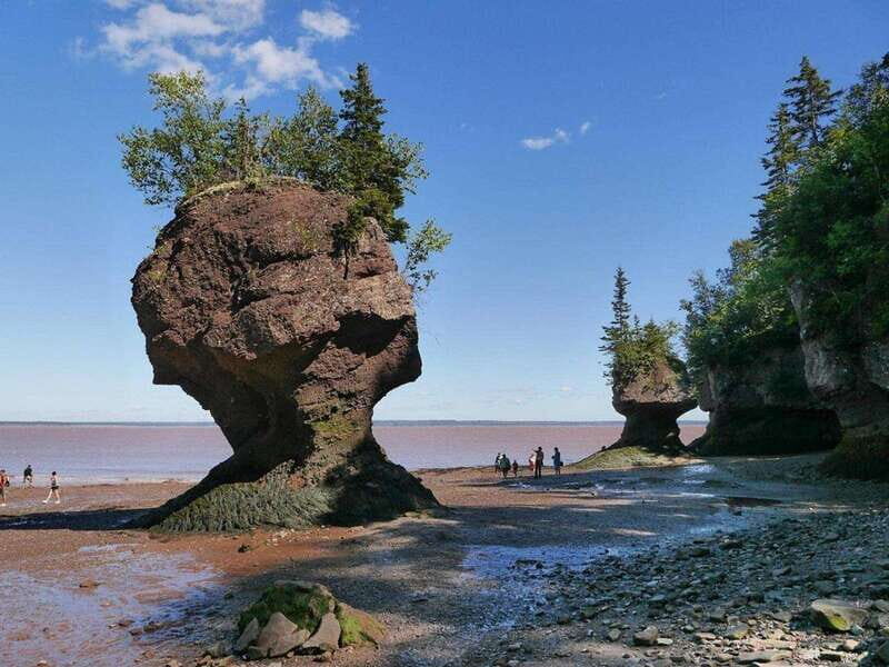 Hopewell Cape: Hopewell Rocks Admission - Interpretive Centre first: a smooth start to self-guided exploring