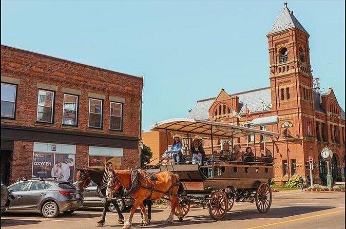 Horse Drawn Historical Guided Tour - Practical Tips: How to Get the Most From This Charlottetown Tour