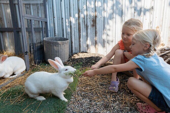 Humberstone Ranch Visit with Mini Domestic Animals - Price and pacing: is $15.01 worth it?
