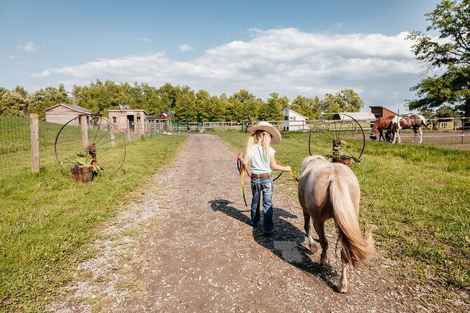 Humberstone Ranch Visit with Mini Domestic Animals - What to expect from the guide, and how to make the hour count
