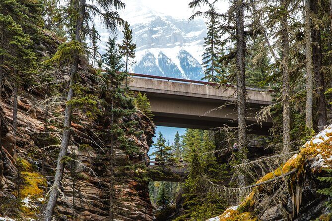 Icefields Parkway: a Smartphone Audio Driving Tour - Peaks, Passes, and Name Stories (Where the Audio Feels Like a Local Guide)