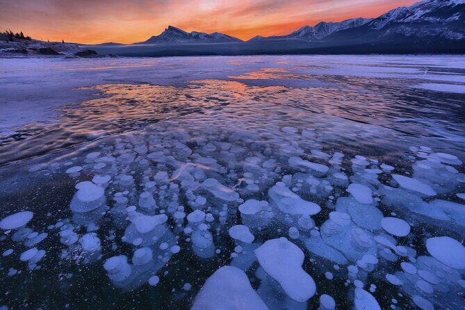 Icefields Parkway and Ice Bubbles of Abraham Lake Adventure - Price and Value: What You’re Paying For at $196.40