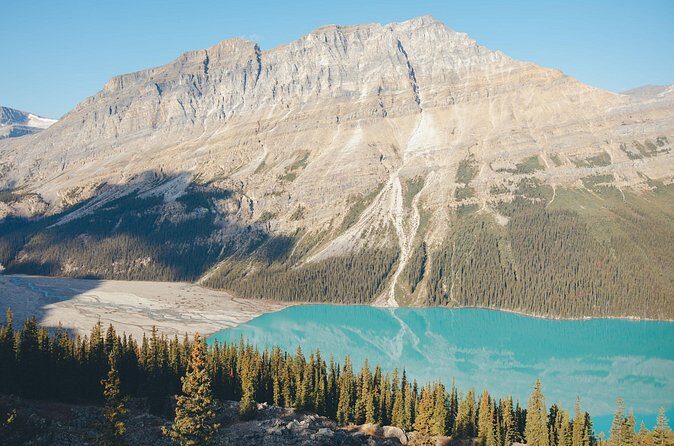 Icefields Parkway Experience - Peyto Lake Viewpoint: A Short Walk to a Big Impression