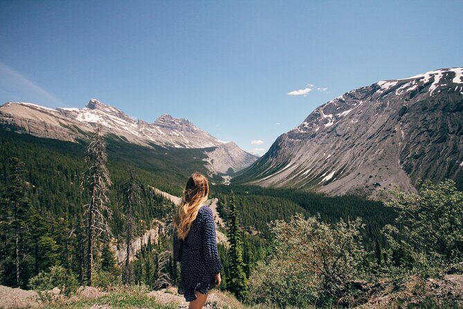 Icefields Parkway Highlights & Secrets | Award-Winning Adventure - The Icefields Parkway drive: wildlife, viewpoints, and a real picnic break