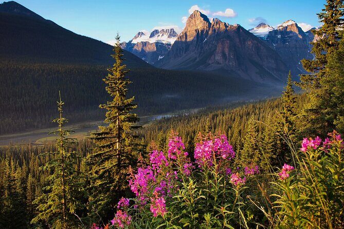 Icefields Parkway Self-Guided Driving Audio Tour - Banff side: river cuts, glacier color, and Lake Louise payoff