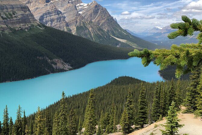 Icefields Pkwy: Lake Louise | Bow | Peyto|Glacier - PRIVATE TOUR - Mistaya Canyon: Short Stop, Fast Scenic Payoff
