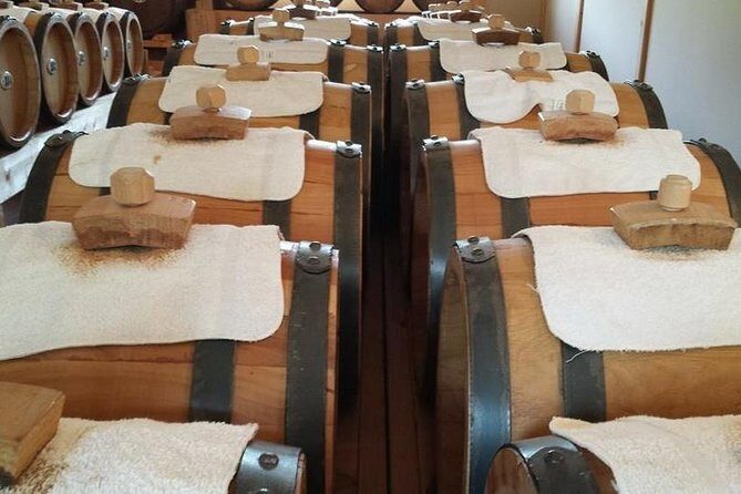 Indulge in a Wine & Food Tour - Cowichan Valley - Should you book this Cowichan Valley Wine and Food Tour?