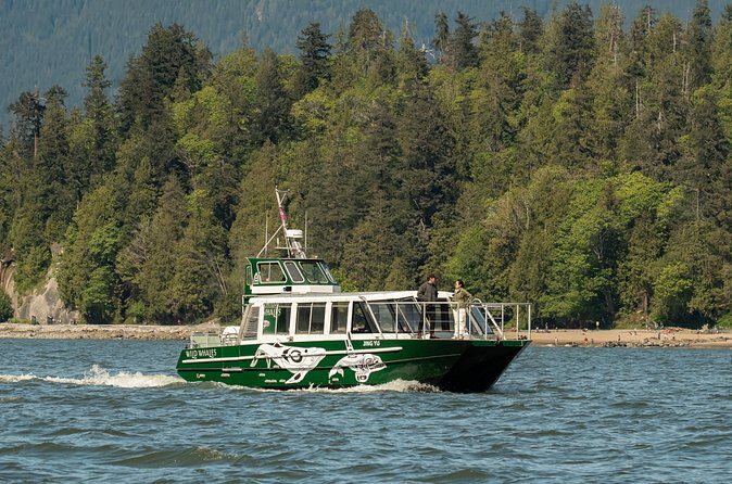 Intimate West Coast Whale Watching - Partly-Sheltered - On the Water: Captain Communication and Real-Time Hunting