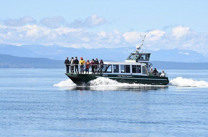 Intimate West Coast Whale Watching - Partly-Sheltered - Small Group Size: Why Maximum 32 People Makes a Difference