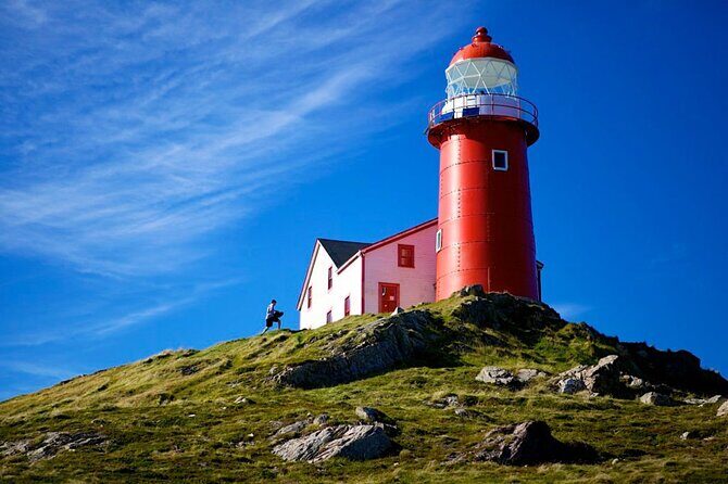 Irish Loop to Ferryland Tour - Key things I’d plan around